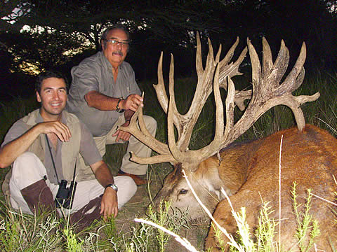 Ciervo de Marcial G&oacute;mez Sequeira