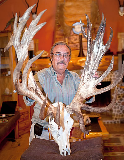 Ciervo de Marcial G&oacute;mez Sequeira