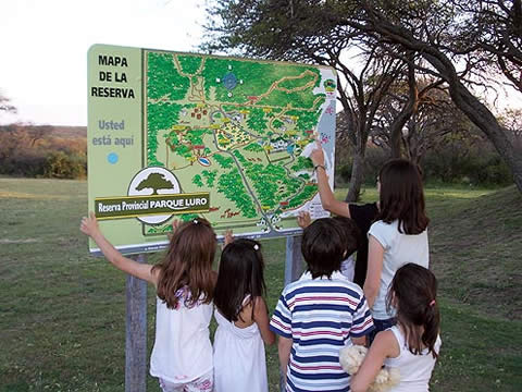 Nueva carteler&iacute;a