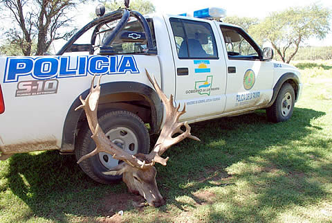 Matan reproductor del coto La Colorada