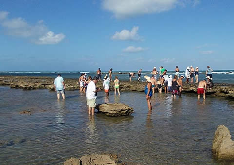 Excursi&oacute;n en Playa Gunga