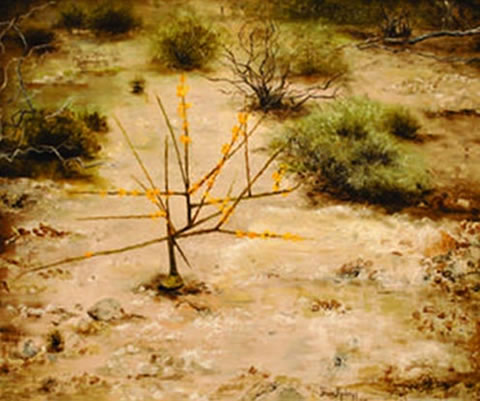 &ldquo;VIDA&rdquo; de Paula Rudolff