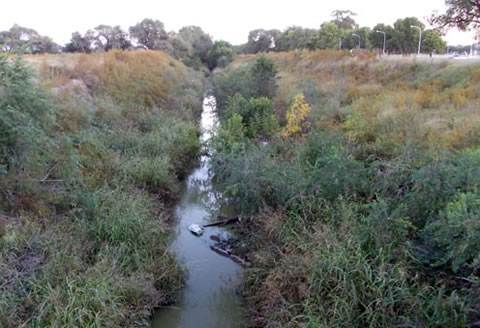 Foco infeccioso &ldquo;a cielo abierto&rdquo;
