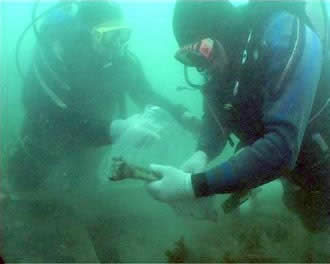 Patrimonio Cultural Subacu&aacute;tico Argentino