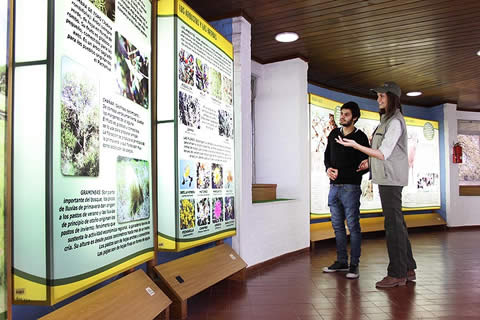 Fin de semana largo tur&iacute;stico en La Pampa