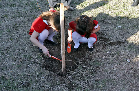 &ldquo;Sembramos Futuro&rdquo; Proyecto Bosques Dispersos