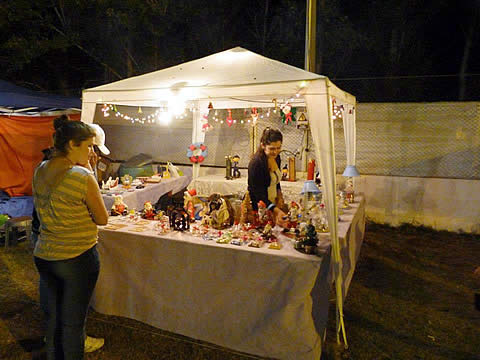 Fiesta de la Alfalfa y el Petr&oacute;leo Pampeano 2012