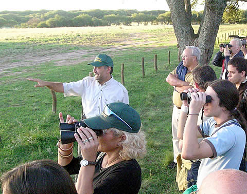 Avistaje de Ciervos en la &eacute;poca de Brama en la Reserva Natural Parque Luro