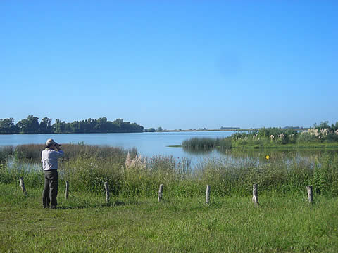 Avistaje de Aves en el Parque Delf&iacute;n P&eacute;rez