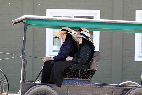 Los Menonitas en Guatrach&eacute;