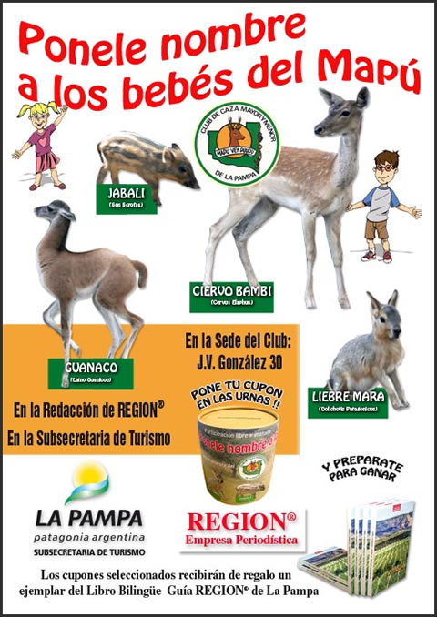 Ponele nombre a los beb&eacute;s del Map&uacute;